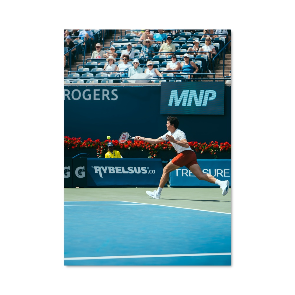 Poster Swing de Raonic